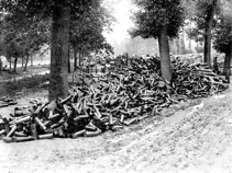 Shell cases at the Somme